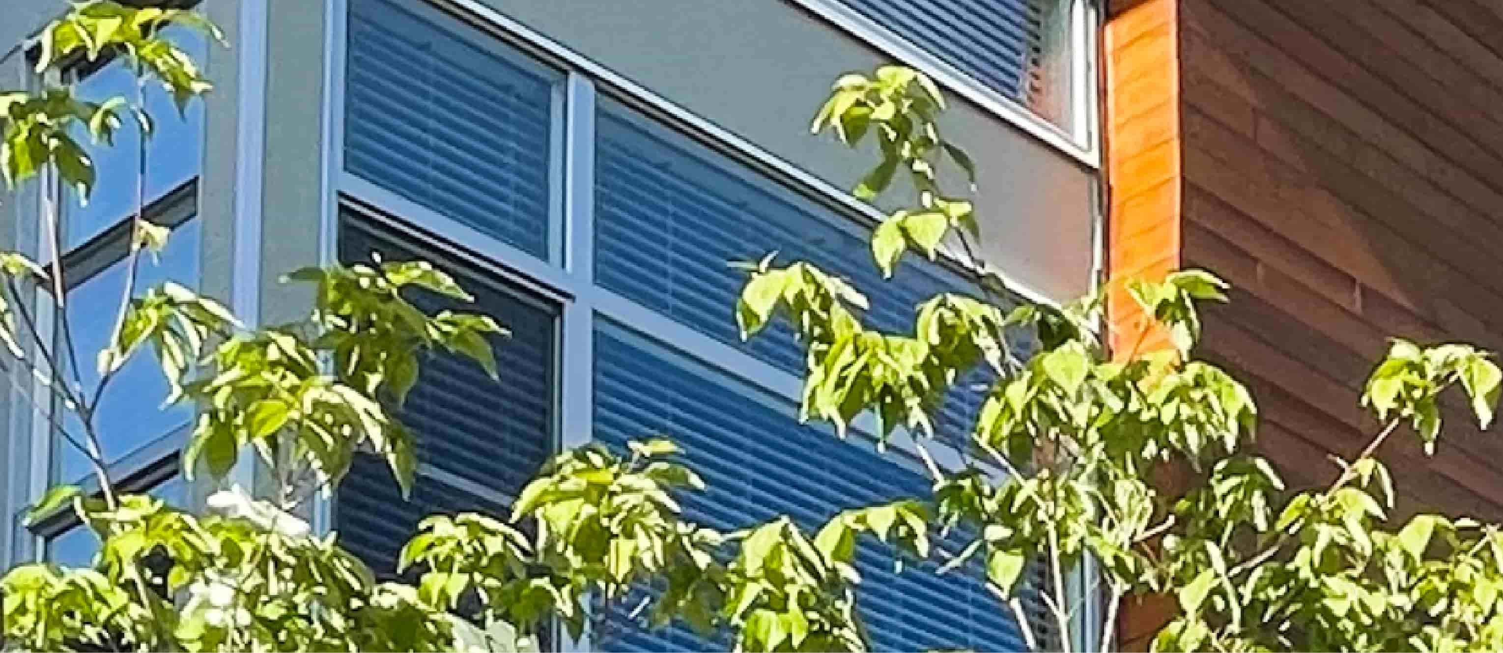 condo building unit with trees and landscaping out front with walkway and trees