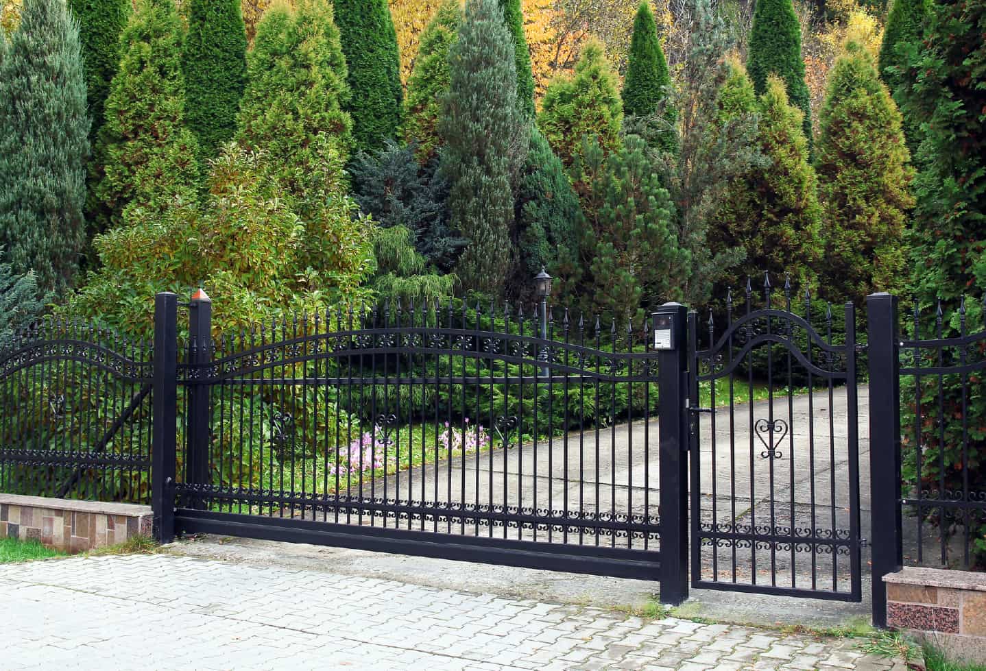 luxury home black iron gate security fence with large driveway and evergreen trees in back