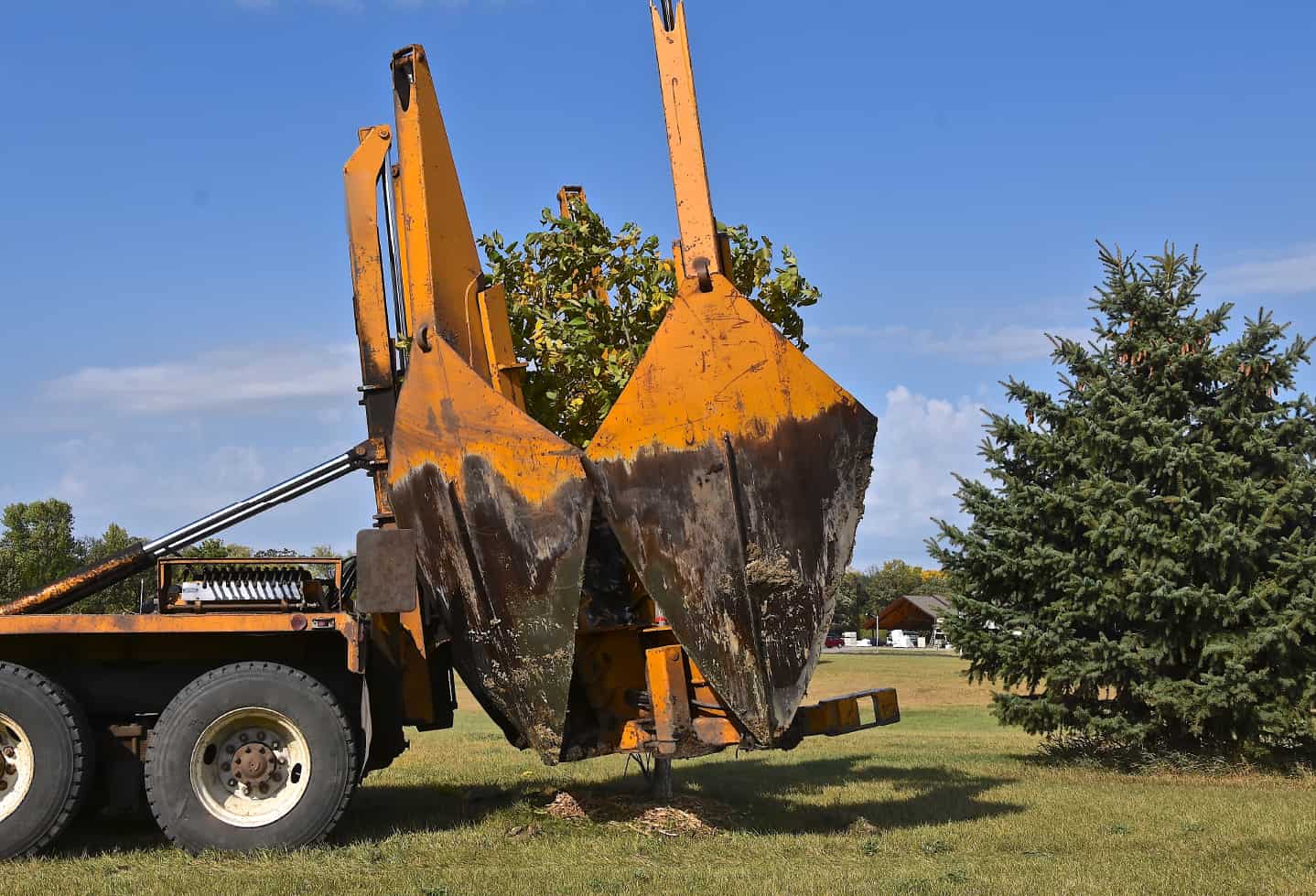 equipment vehicle to transplant large trees