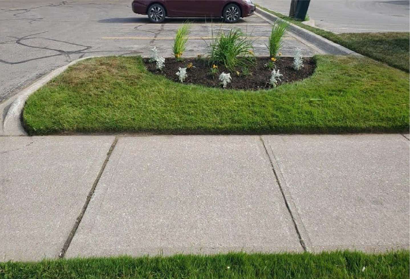 plant and grass installation by parking lot