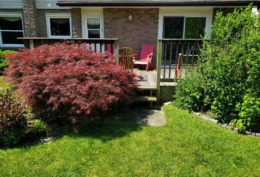 wood patio rear of house in bad shape