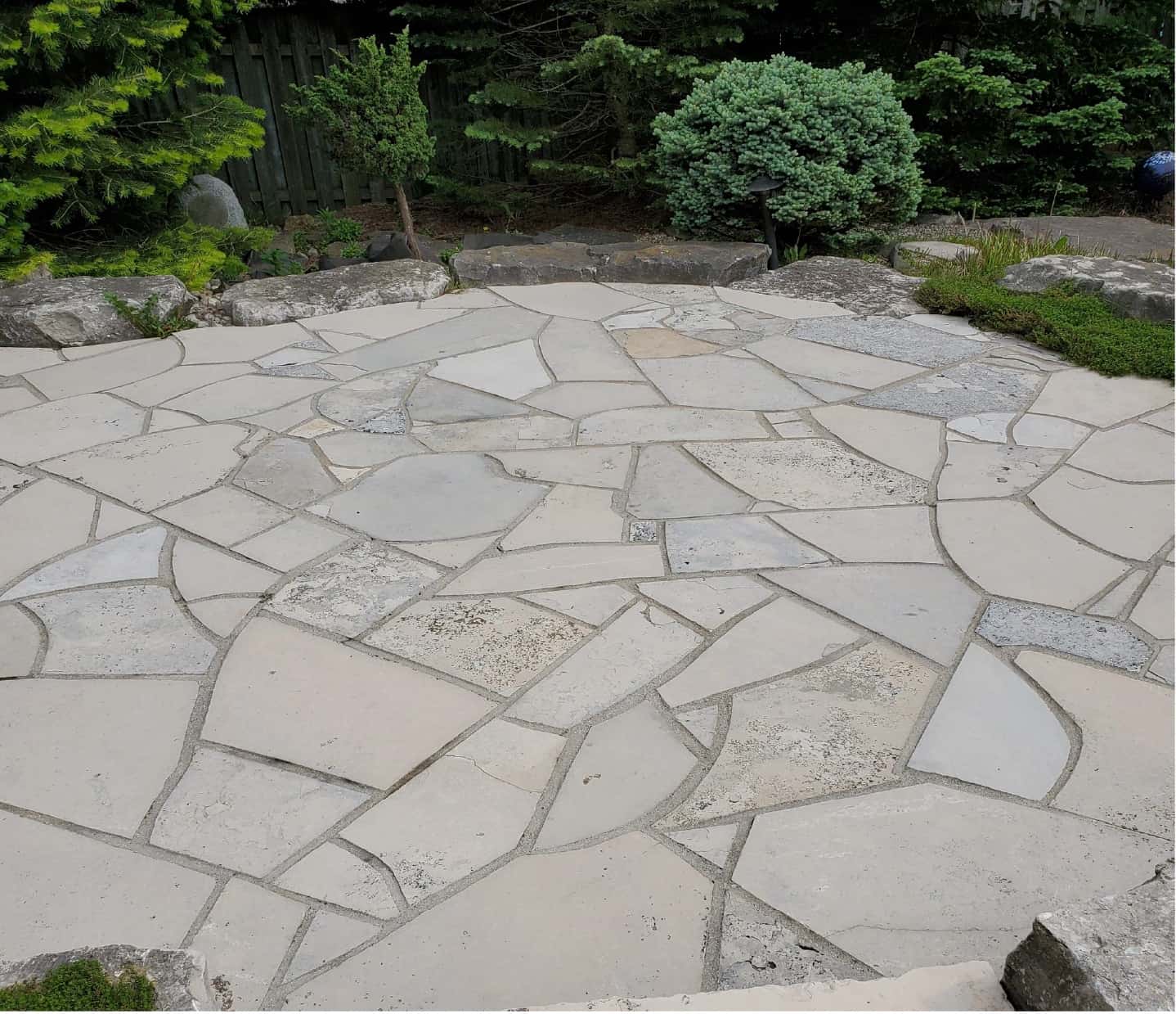 pavers that have been power washed. backyard with trees
